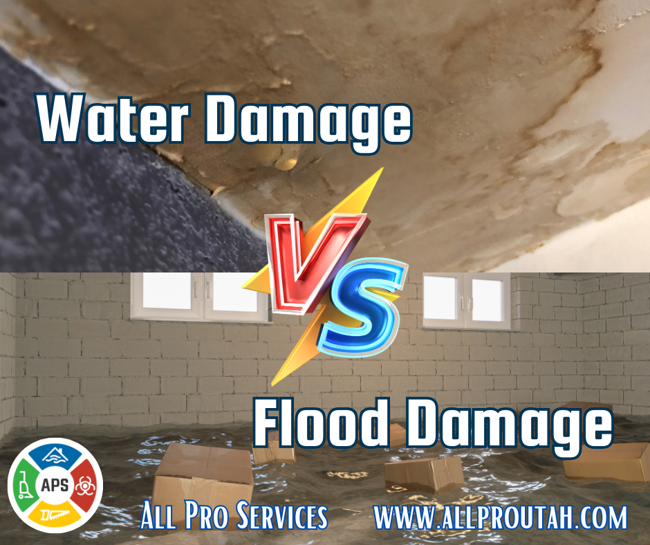 Flood Damage vs Water Damage